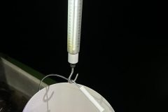 A rekordkoncér tömege: 3850 g